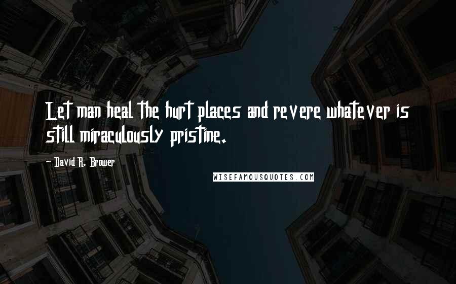 David R. Brower quotes: Let man heal the hurt places and revere whatever is still miraculously pristine.