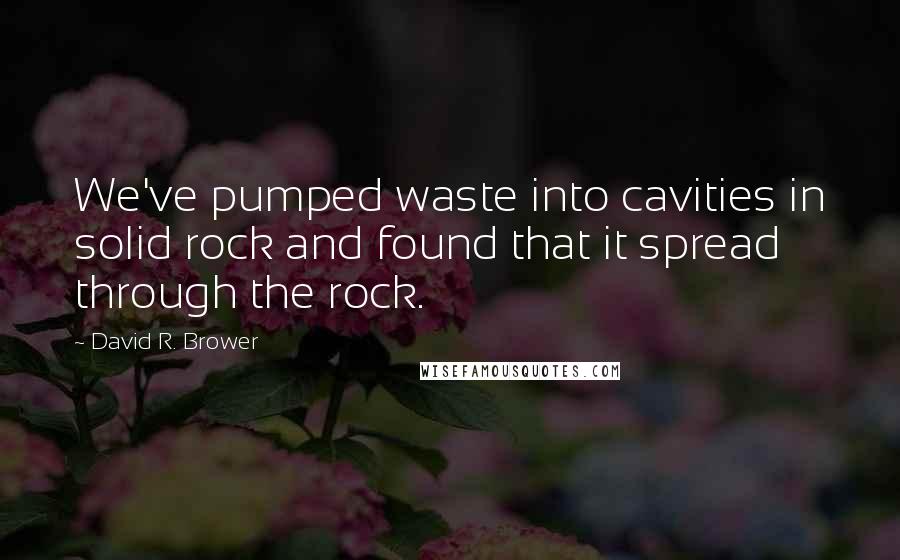 David R. Brower quotes: We've pumped waste into cavities in solid rock and found that it spread through the rock.