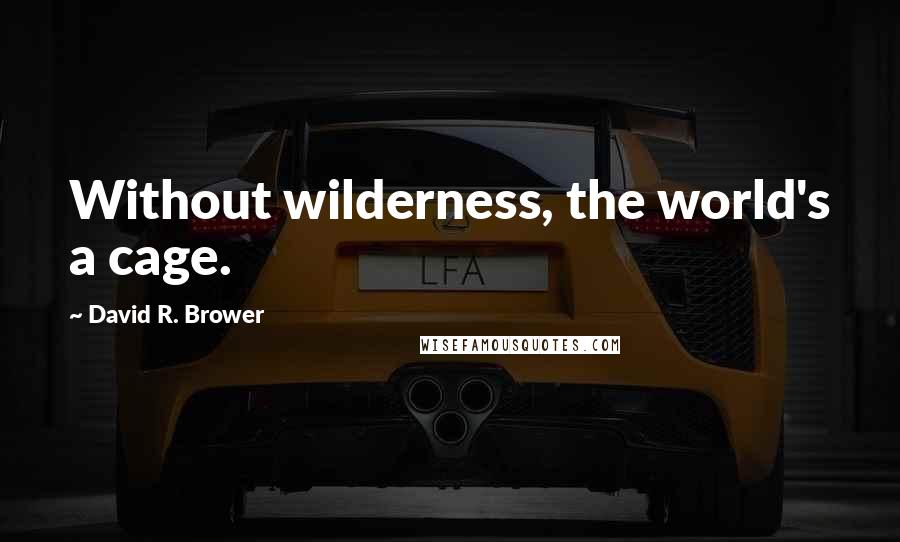 David R. Brower quotes: Without wilderness, the world's a cage.