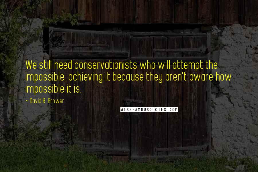 David R. Brower quotes: We still need conservationists who will attempt the impossible, achieving it because they aren't aware how impossible it is.