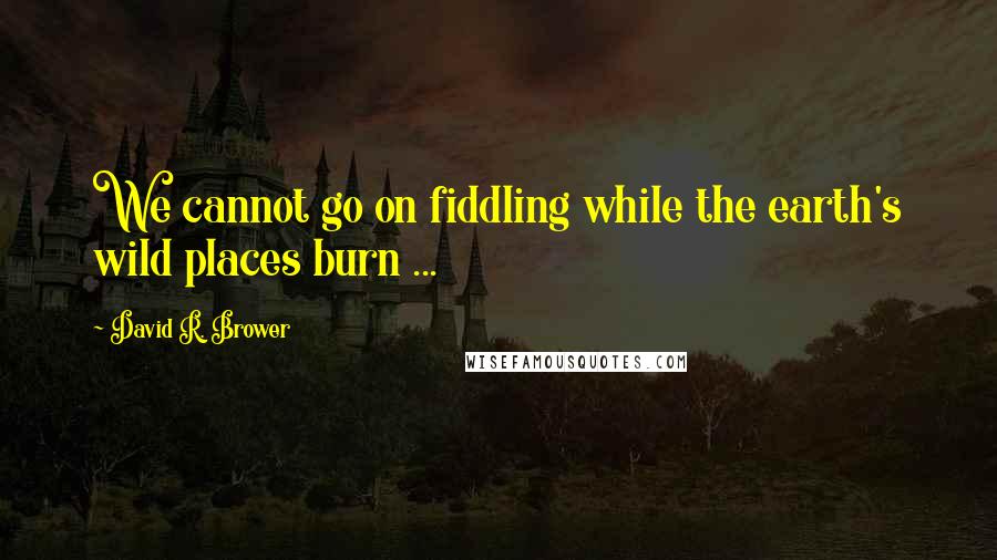 David R. Brower quotes: We cannot go on fiddling while the earth's wild places burn ...