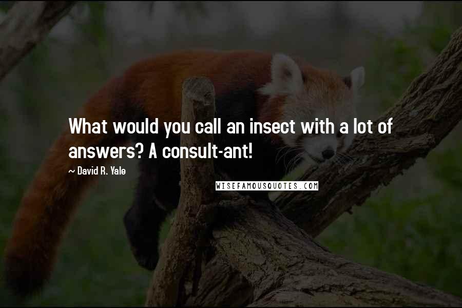 David R. Yale quotes: What would you call an insect with a lot of answers? A consult-ant!