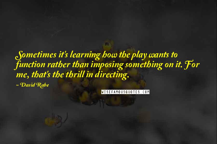 David Rabe quotes: Sometimes it's learning how the play wants to function rather than imposing something on it. For me, that's the thrill in directing. David Rabe quotes: Sometimes it's learning how the play wants to function rather than imposing something on it. For me, that's the thrill in directing.
