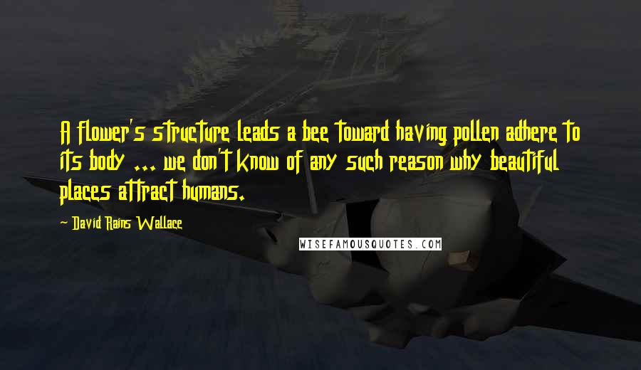 David Rains Wallace quotes: A flower's structure leads a bee toward having pollen adhere to its body ... we don't know of any such reason why beautiful places attract humans.