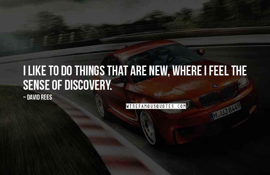 David Rees quotes: I like to do things that are new, where I feel the sense of discovery.