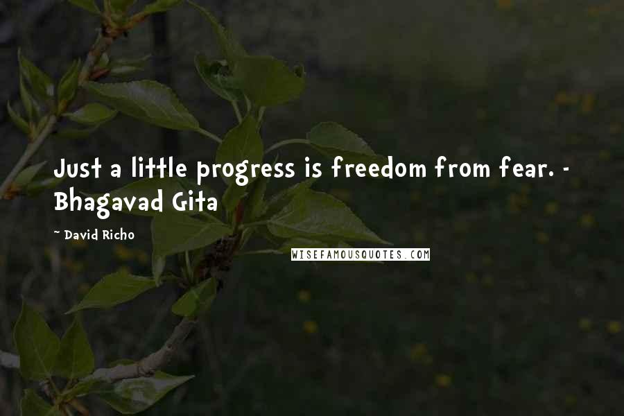 David Richo quotes: Just a little progress is freedom from fear. - Bhagavad Gita