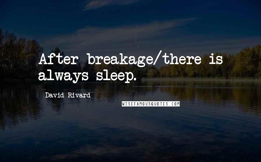 David Rivard quotes: After breakage/there is always sleep.