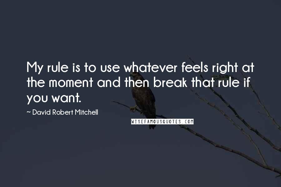 David Robert Mitchell quotes: My rule is to use whatever feels right at the moment and then break that rule if you want.