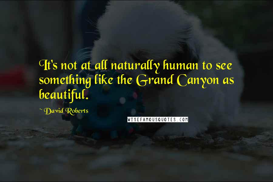 David Roberts quotes: It's not at all naturally human to see something like the Grand Canyon as beautiful.