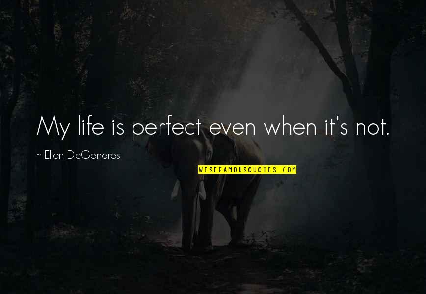 David Robson Quotes By Ellen DeGeneres: My life is perfect even when it's not. David Robson Quotes By Ellen DeGeneres: My life is perfect even when it's not.