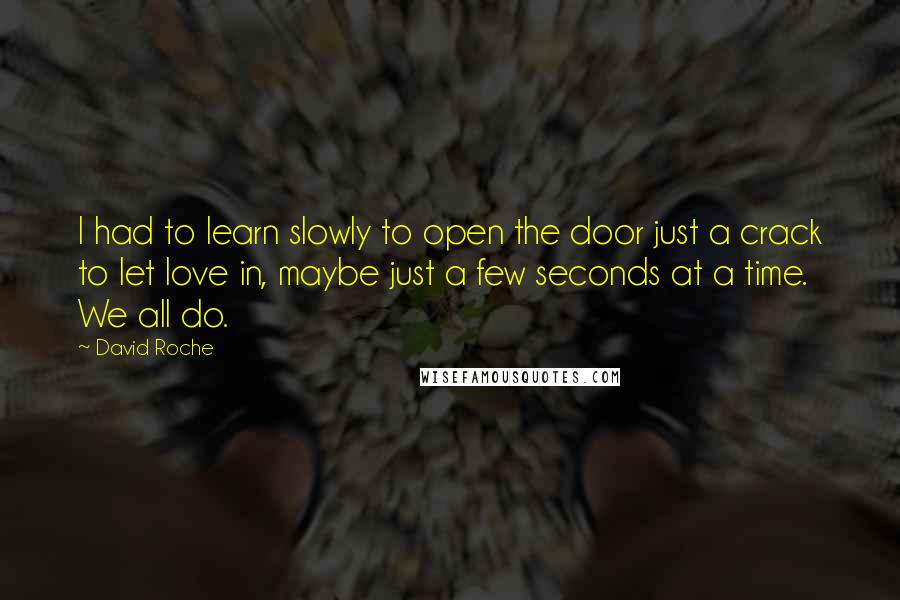 David Roche quotes: I had to learn slowly to open the door just a crack to let love in, maybe just a few seconds at a time. We all do.