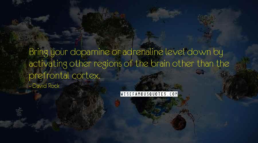 David Rock quotes: Bring your dopamine or adrenaline level down by activating other regions of the brain other than the prefrontal cortex.