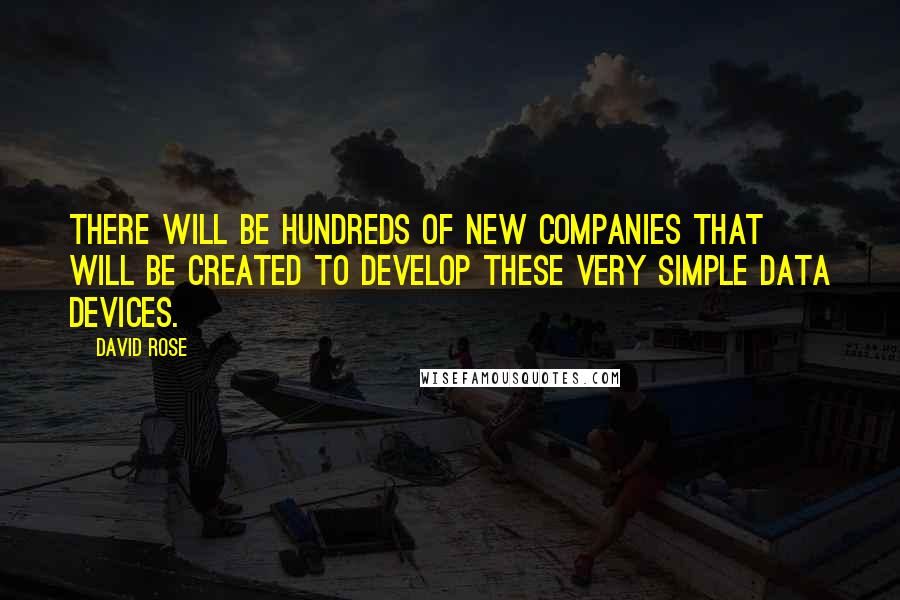 David Rose quotes: There will be hundreds of new companies that will be created to develop these very simple data devices.