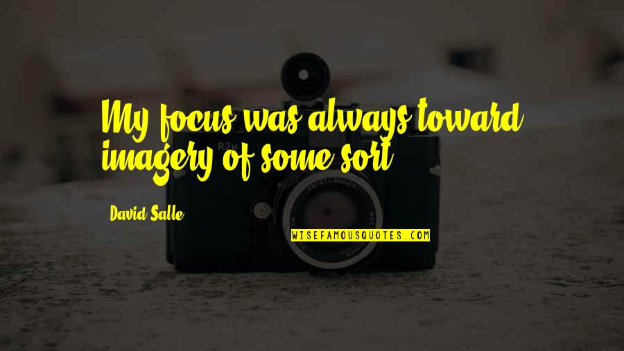 David Salle Quotes By David Salle: My focus was always toward imagery of some David Salle Quotes By David Salle: My focus was always toward imagery of some