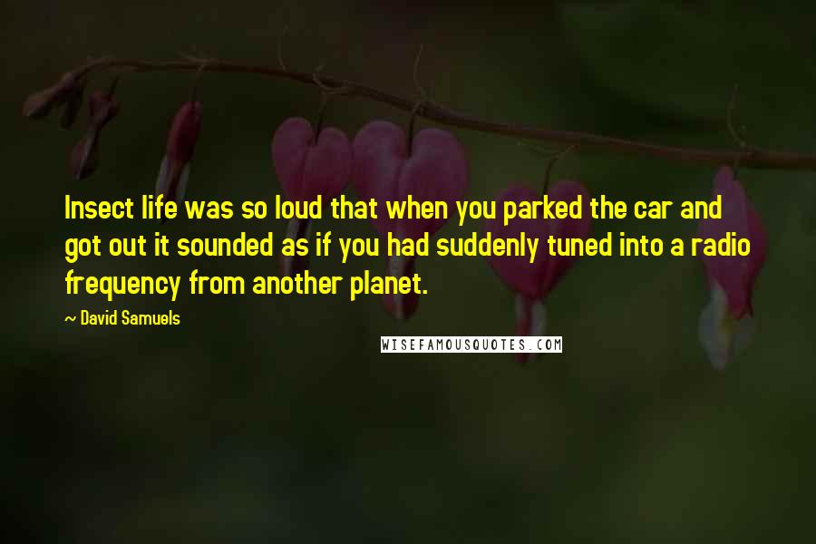 David Samuels quotes: Insect life was so loud that when you parked the car and got out it sounded as if you had suddenly tuned into a radio frequency from another planet.