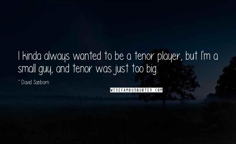 David Sanborn quotes: I kinda always wanted to be a tenor player, but I'm a small guy, and tenor was just too big.