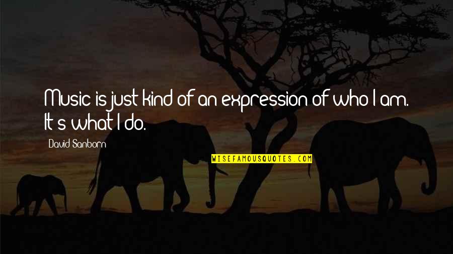David Sanborn Quotes By David Sanborn: Music is just kind of an expression of