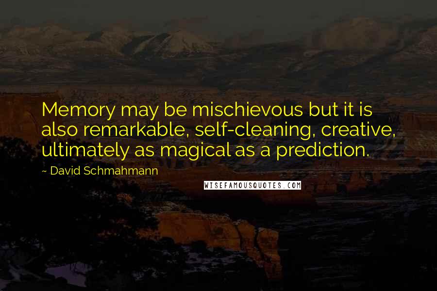 David Schmahmann quotes: Memory may be mischievous but it is also remarkable, self-cleaning, creative, ultimately as magical as a prediction.