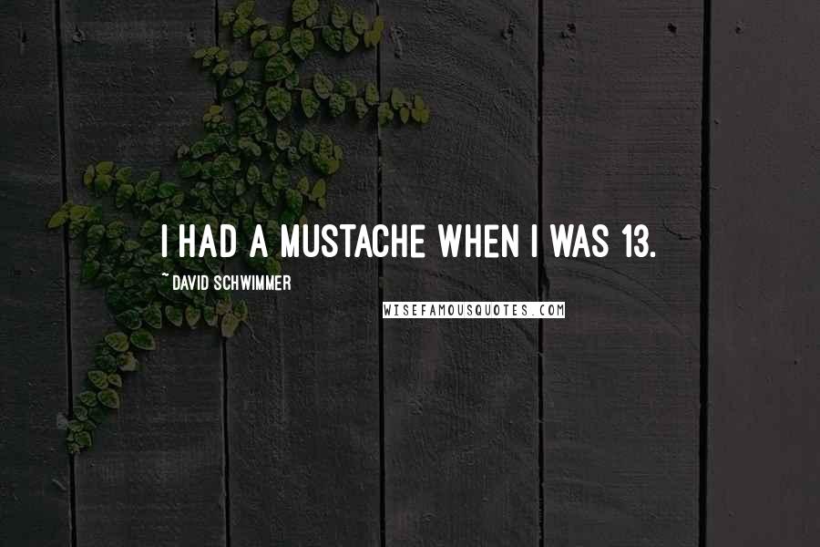 David Schwimmer quotes: I had a mustache when I was 13.