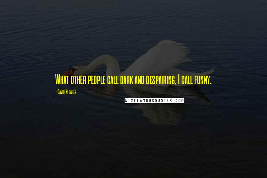 David Sedaris quotes: What other people call dark and despairing, I call funny.
