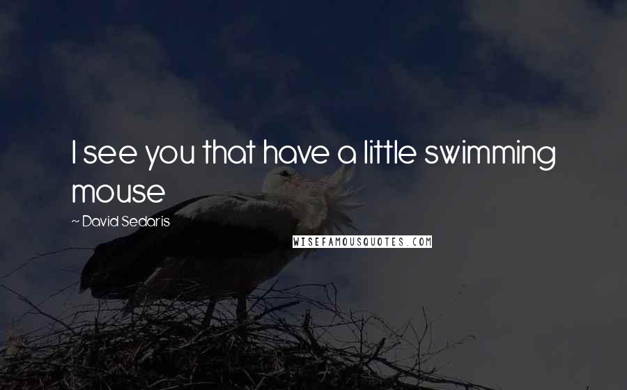 David Sedaris quotes: I see you that have a little swimming mouse