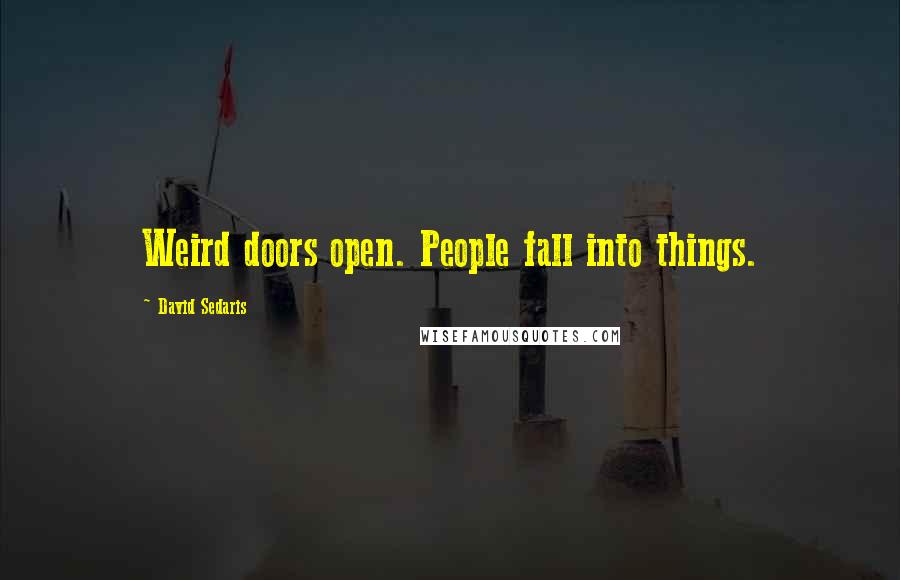David Sedaris quotes: Weird doors open. People fall into things.