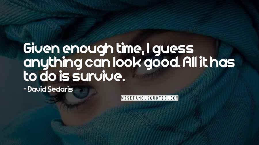 David Sedaris quotes: Given enough time, I guess anything can look good. All it has to do is survive.