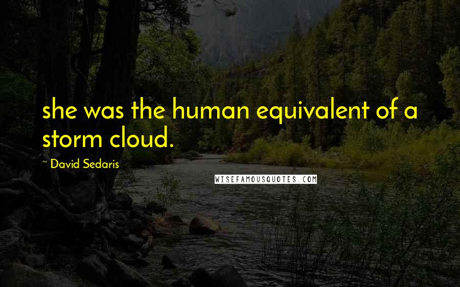 David Sedaris quotes: she was the human equivalent of a storm cloud.