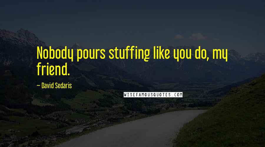 David Sedaris quotes: Nobody pours stuffing like you do, my friend.