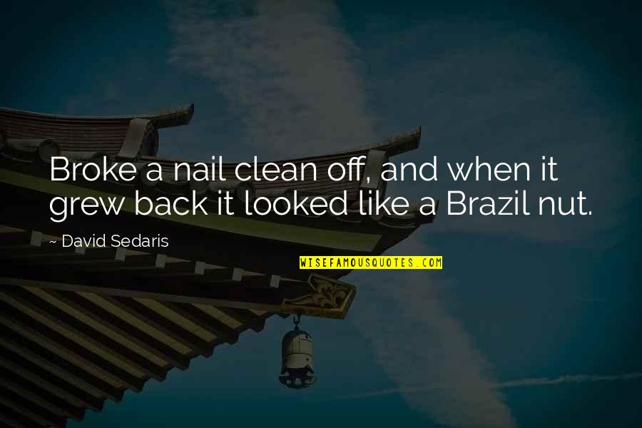David Sedaris Quotes By David Sedaris: Broke a nail clean off, and when it