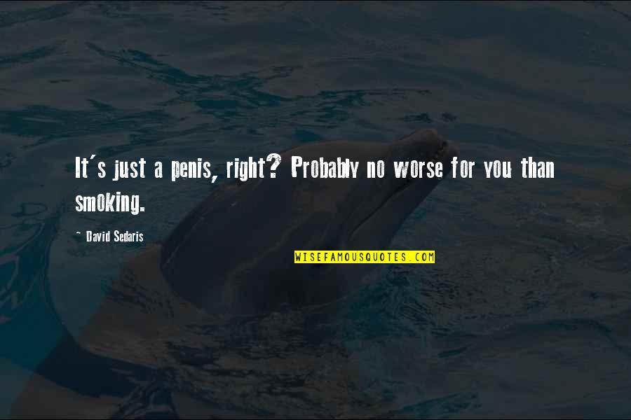 David Sedaris Quotes By David Sedaris: It's just a penis, right? Probably no worse