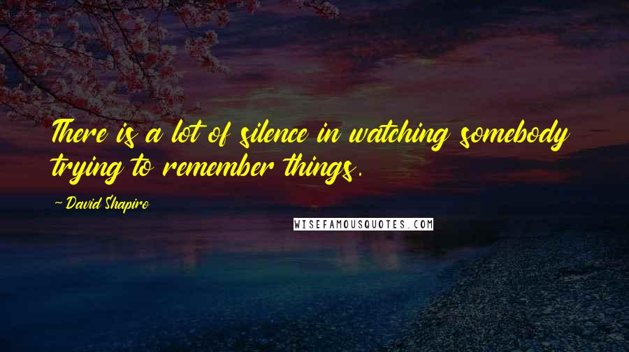 David Shapiro quotes: There is a lot of silence in watching somebody trying to remember things.