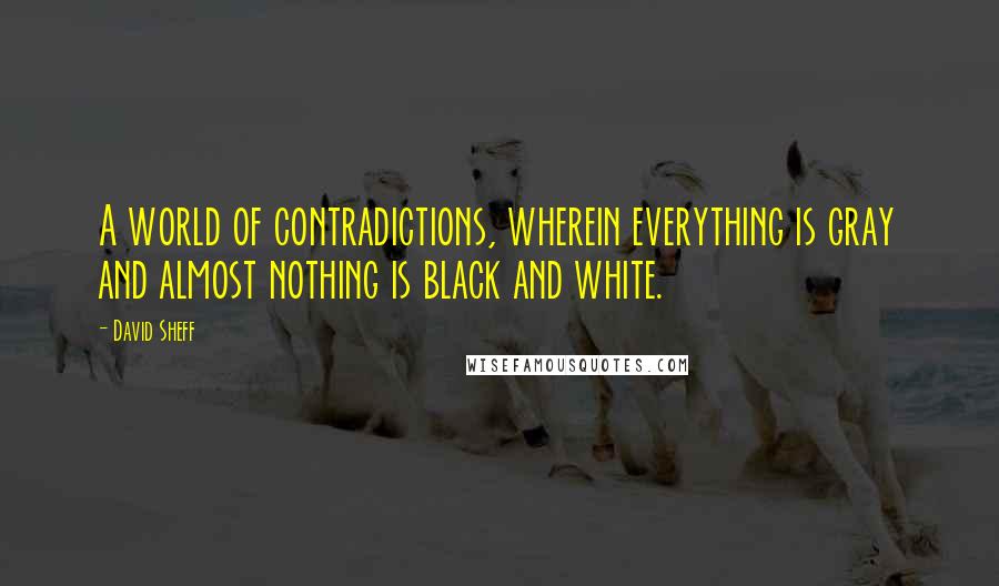 David Sheff quotes: A world of contradictions, wherein everything is gray and almost nothing is black and white.