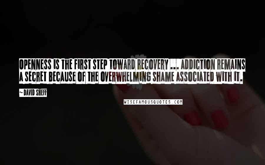 David Sheff quotes: Openness is the first step toward recovery ... addiction remains a secret because of the overwhelming shame associated with it.