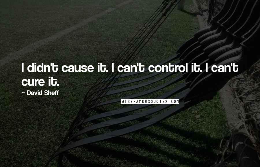 David Sheff quotes: I didn't cause it. I can't control it. I can't cure it.