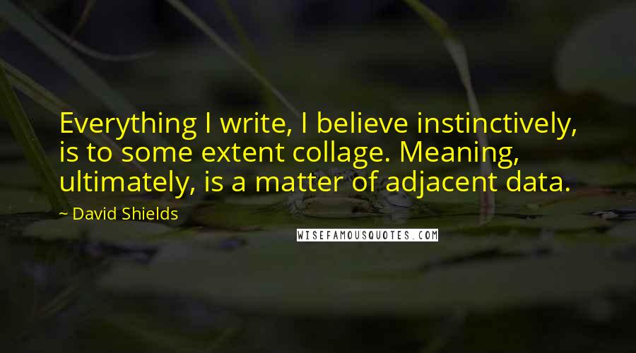 David Shields quotes: Everything I write, I believe instinctively, is to some extent collage. Meaning, ultimately, is a matter of adjacent data.