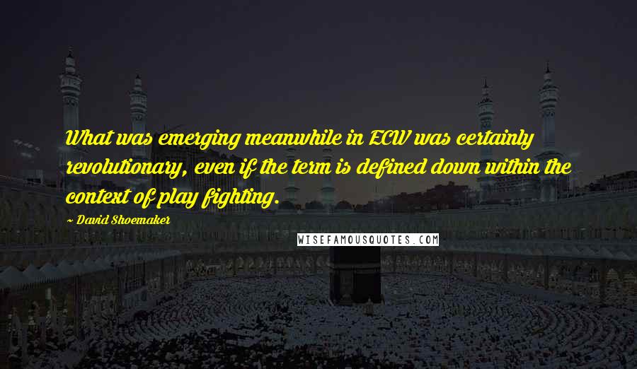 David Shoemaker quotes: What was emerging meanwhile in ECW was certainly revolutionary, even if the term is defined down within the context of play fighting.