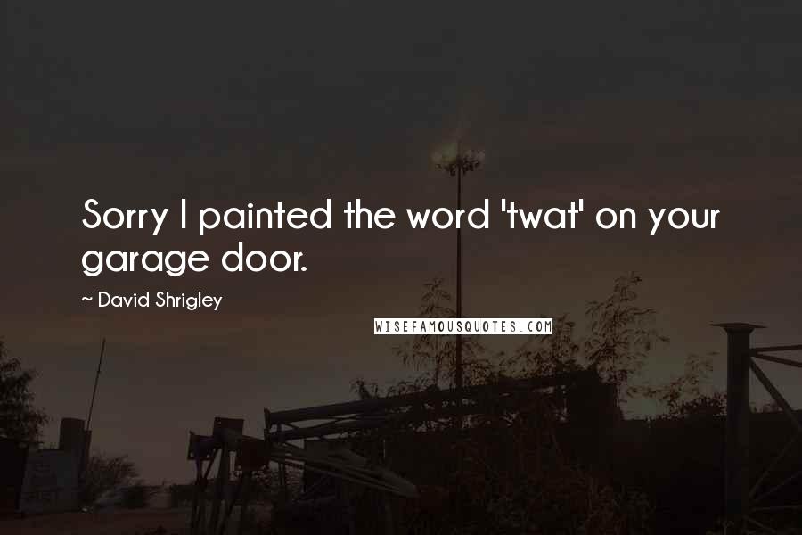 David Shrigley quotes: Sorry I painted the word 'twat' on your garage door.