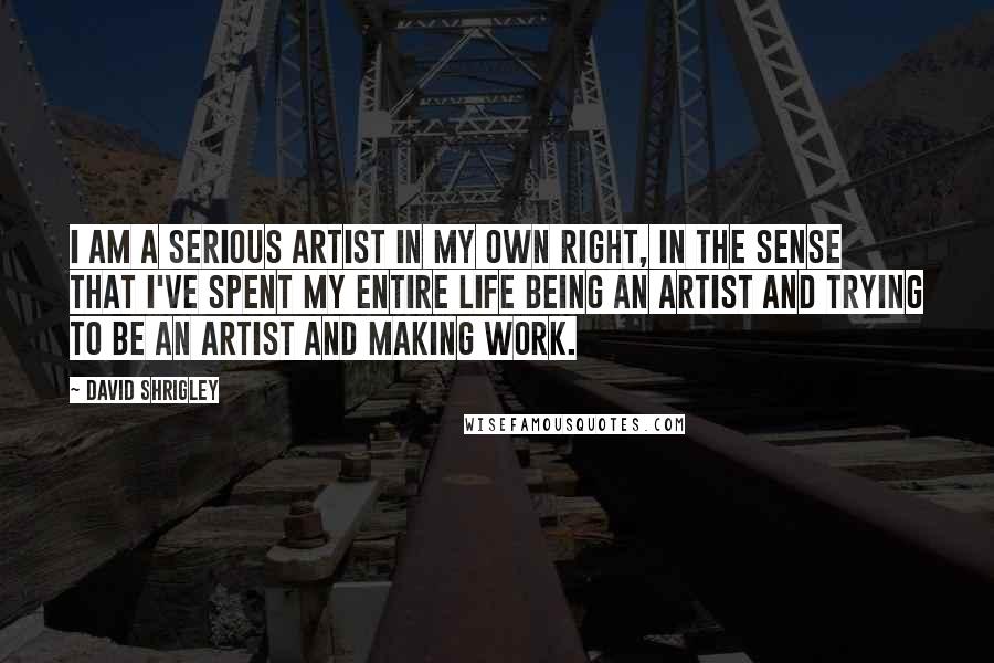 David Shrigley quotes: I am a serious artist in my own right, in the sense that I've spent my entire life being an artist and trying to be an artist and making work.