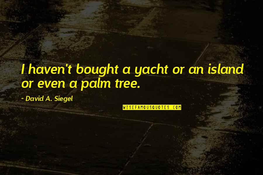 David Siegel Quotes By David A. Siegel: I haven't bought a yacht or an island