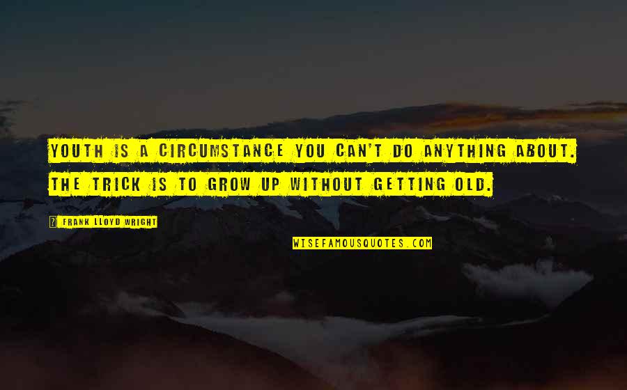 David Sills Quotes By Frank Lloyd Wright: Youth is a circumstance you can't do anything