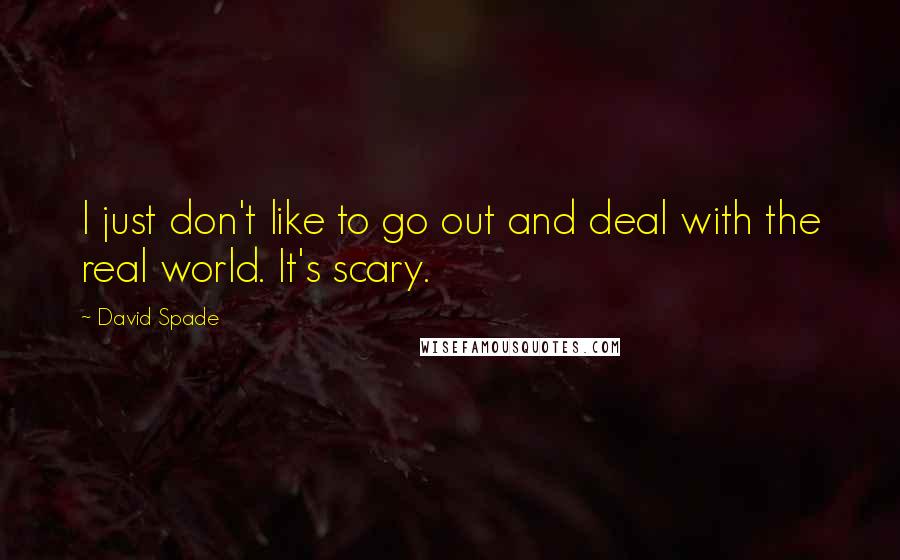 David Spade quotes: I just don't like to go out and deal with the real world. It's scary.