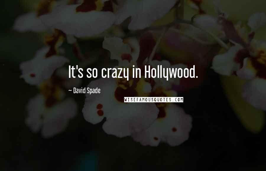 David Spade quotes: It's so crazy in Hollywood.