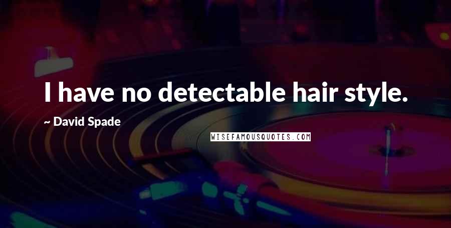 David Spade quotes: I have no detectable hair style.