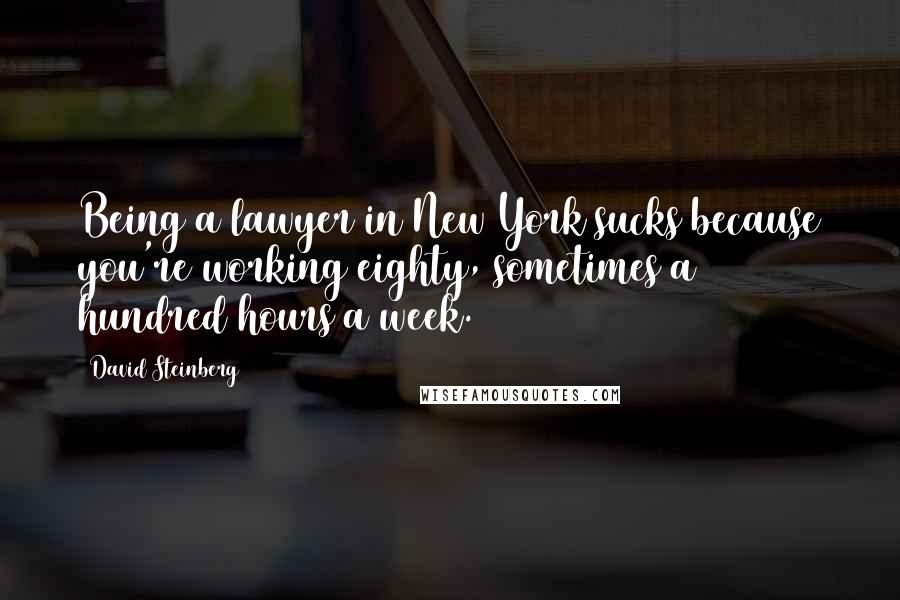 David Steinberg quotes: Being a lawyer in New York sucks because you're working eighty, sometimes a hundred hours a week.