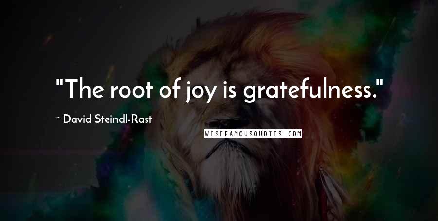 David Steindl-Rast quotes: "The root of joy is gratefulness."