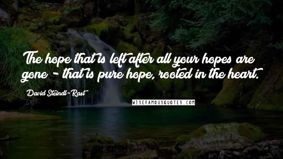 David Steindl-Rast quotes: The hope that is left after all your hopes are gone - that is pure hope, rooted in the heart.