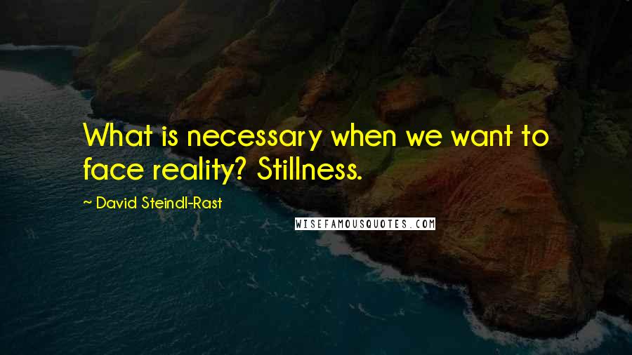 David Steindl-Rast quotes: What is necessary when we want to face reality? Stillness.