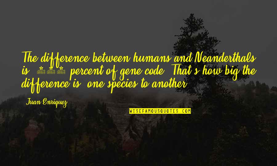 David Stoop Quotes By Juan Enriquez: The difference between humans and Neanderthals is .004