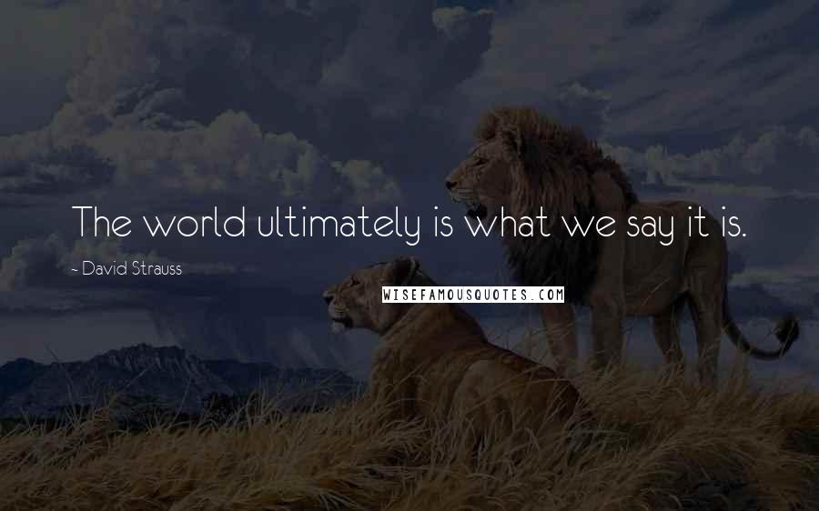 David Strauss quotes: The world ultimately is what we say it is.